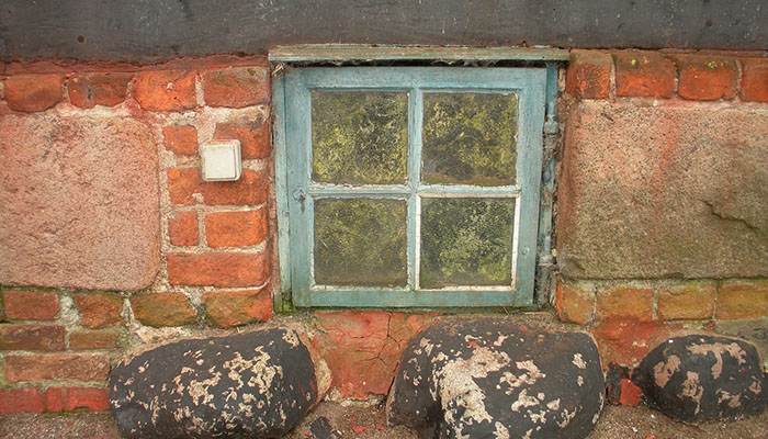 mold basement